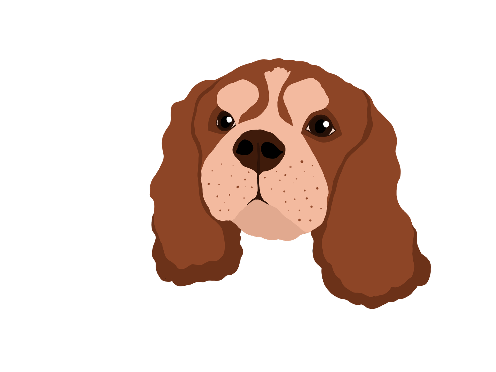 King Charles Spaniel