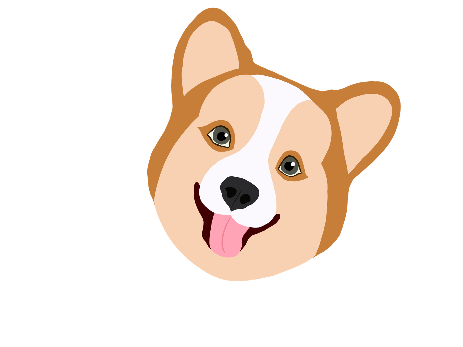 Corgi