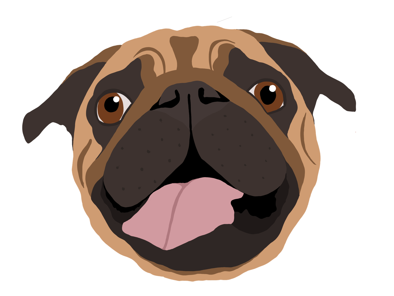 Pug